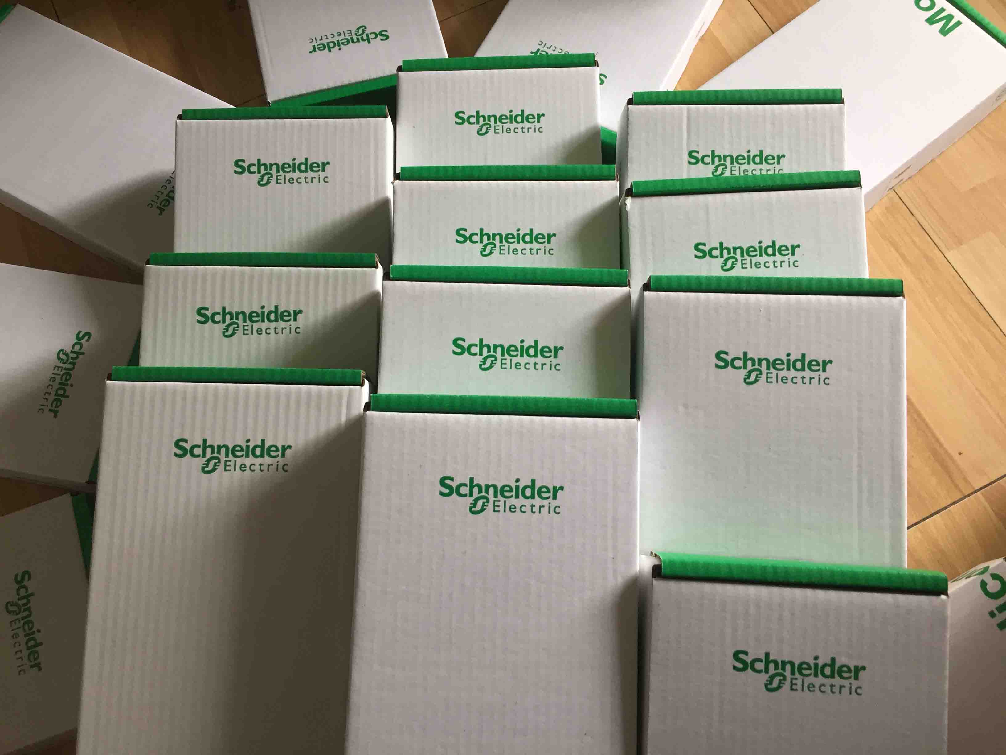 170DNT11000 Schneider Modicon Momentum Brandy Original Factory Sealed New