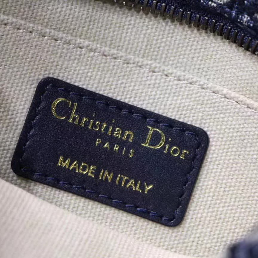 【原版皮】迪奥/Dior 相机包,选用Oblique提花帆布搭配同色系牛皮皮革裁制而成,大大的D字扣的手拎设计五金,随意又摩登,谁用谁时髦